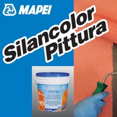 Silexcolor Paint