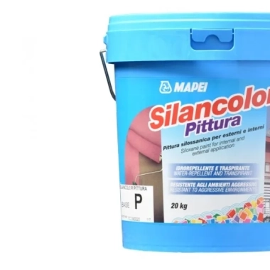 Silancolor Paint